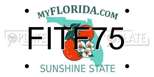 FITF75 Florida License Plate