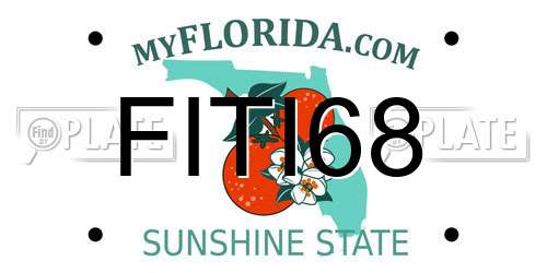 FITI68 Florida License Plate