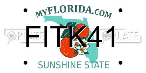 FITK41 Florida License Plate