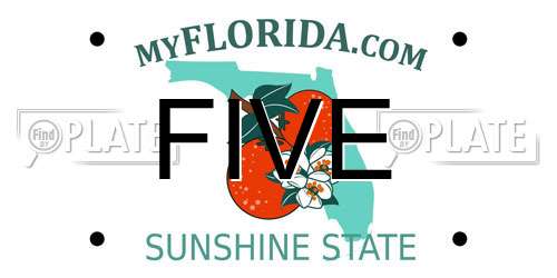 FIVE Florida License Plate