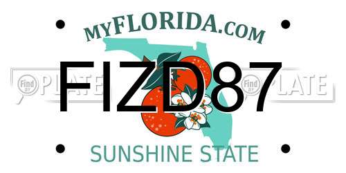FIZD87 Florida License Plate