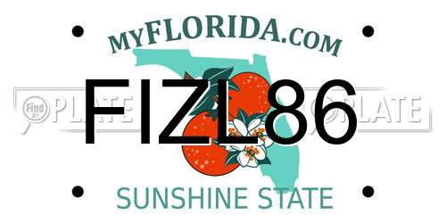 FIZL86 Florida License Plate