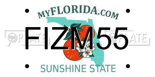 FIZM55 Florida License Plate