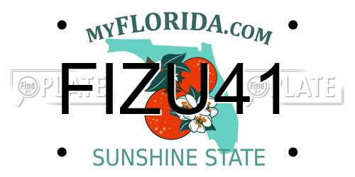 FIZU41 Florida License Plate