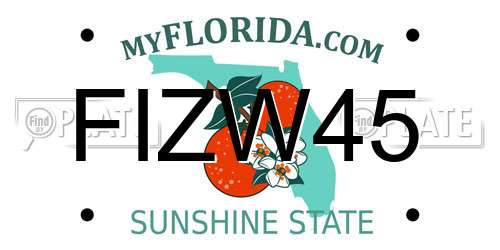 FIZW45 Florida License Plate
