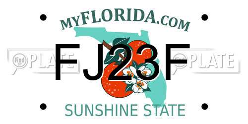 FJ23F Florida License Plate