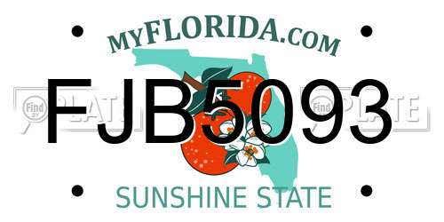 FJB5093 Florida License Plate