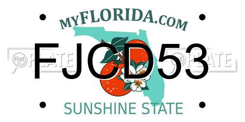 FJCD53 Florida License Plate