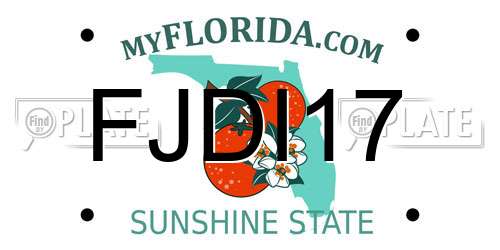 FJDI17 Florida License Plate