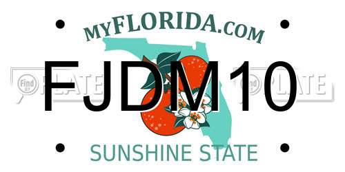 FJDM10 Florida License Plate