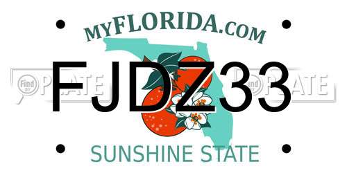 FJDZ33 Florida License Plate