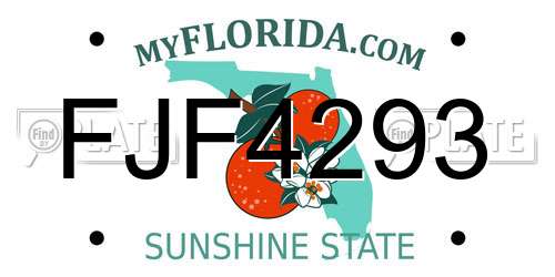 FJF4293 Florida License Plate