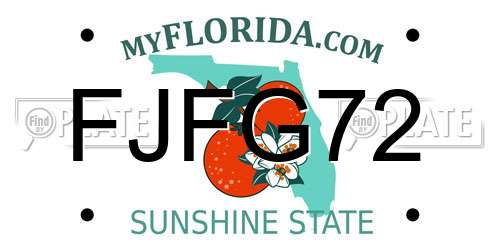 FJFG72 Florida License Plate