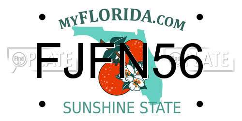 FJFN56 Florida License Plate