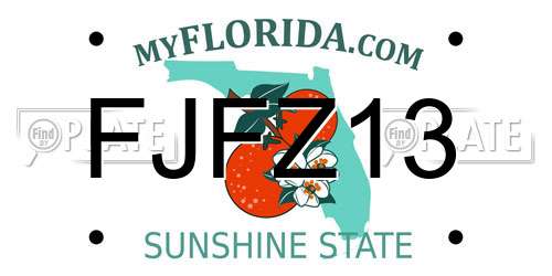 FJFZ13 Florida License Plate