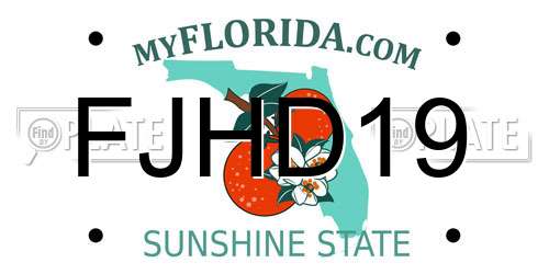 FJHD19 Florida License Plate