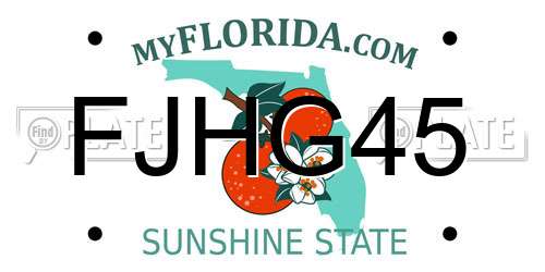FJHG45 Florida License Plate