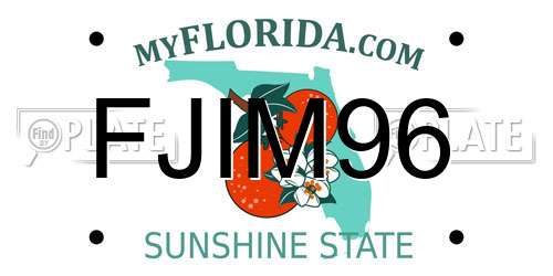 FJIM96 Florida License Plate