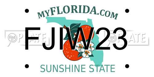 FJIW23 Florida License Plate