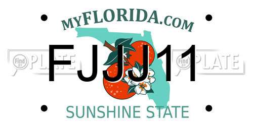 FJJJ11 Florida License Plate