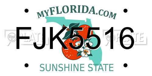 FJK5516 Florida License Plate