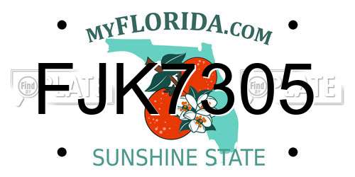 FJK7305 Florida License Plate