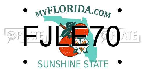 FJLE70 Florida License Plate