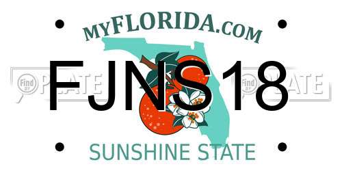 FJNS18 Florida License Plate
