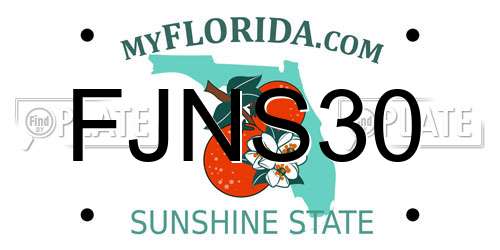 FJNS30 Florida License Plate