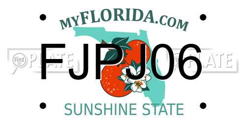 FJPJ06 Florida License Plate