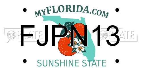 FJPN13 Florida License Plate
