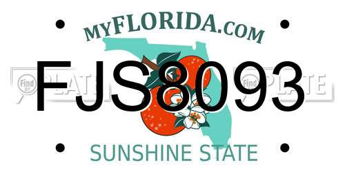 FJS8093 Florida License Plate