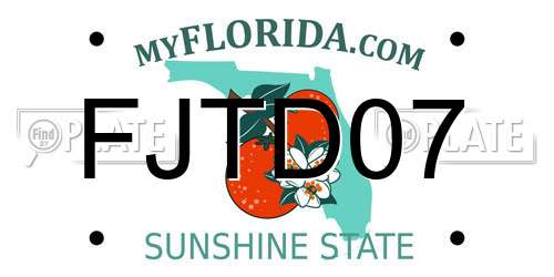 FJTD07 Florida License Plate