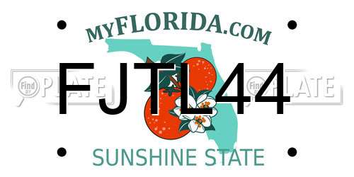 FJTL44 Florida License Plate