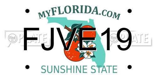 FJVE19 Florida License Plate