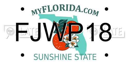 FJWP18 Florida License Plate