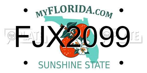 FJX2099 Florida License Plate