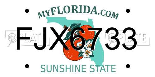 FJX6733 Florida License Plate