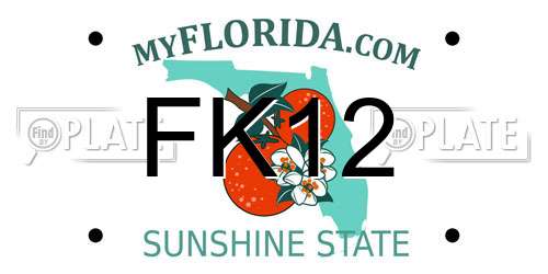 FK12 Florida License Plate