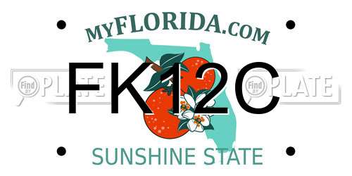 FK12C Florida License Plate