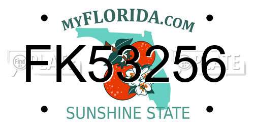 FK53256 Florida License Plate