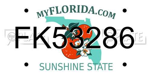 FK53286 Florida License Plate