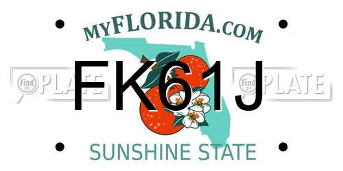 FK61J Florida License Plate