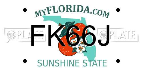 FK66J Florida License Plate