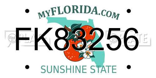 FK83256 Florida License Plate