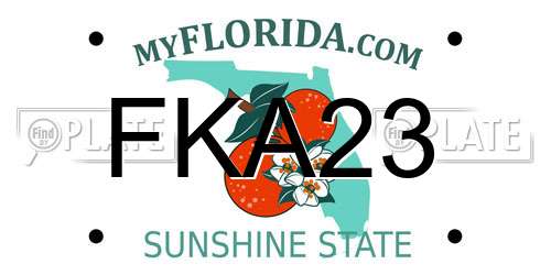 FKA23 Florida License Plate