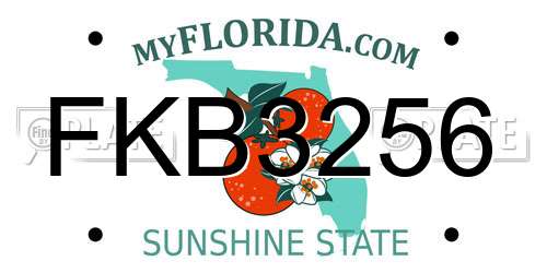 FKB3256 Florida License Plate