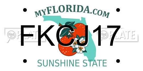 FKCJ17 Florida License Plate