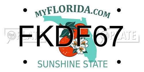FKDF67 Florida License Plate