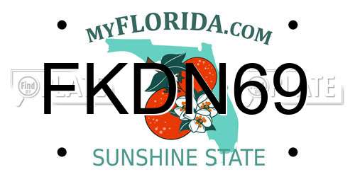 FKDN69 Florida License Plate